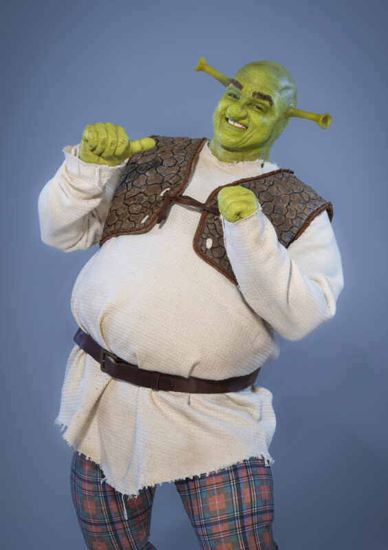 Shrek family Illustration, Princess Fiona Donkey Shrek The Musical Lord  Farquaad, shrek transparent background PNG clipart